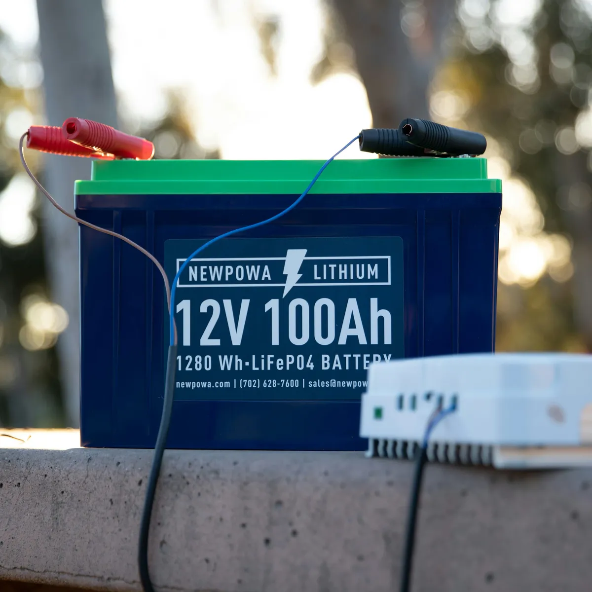 LiFePO4 Charging: Do You Need a Special Charger?